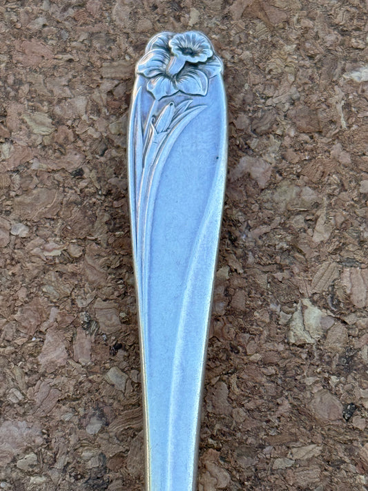 Daffodil